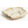 H&M Stor Bakke I Terrakotta Beige Serveringsbakke 22.9cm