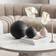 Villeroy & Boch La Boule Black Spisestel 7stk