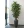 Bamboo Green Konstgjord växt