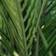 Green4Ever Areca Palm Tree Green Konstgjord växt