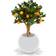 Green4Ever Orange tree Bonsai Orange/Green Konstgjord växt
