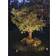 LightsOn Luna Silver Markbelysning 15cm