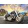 Trefl Motorcycle