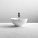 Nuie Vessels (NBV124)