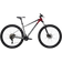 Polygon Xtrada 5 29" 2024 M - Grey Unisex