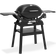 Weber Q2200N