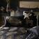 Laurence Llewelyn-Bowen Dandy Jacquard Duvet Cover Gold, Black (260x220cm)