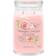 Yankee Candle Freshly Picked Rose Pink Scented Candle 569g