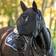 LeMieux Ride On Full Fly Mask - Black