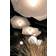 Globen Lighting Tropez Nature Pendellampa 82cm