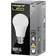 Integral GLS LED Lamps 13W B22