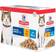 Hill's Science Plan Mature Adult Fish Selection 12x85g