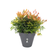 Elho Loft Urban Round Flower Pot - Anthracite ∅24.5cm