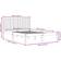 vidaXL 3104434 Sengeramme 200x200cm