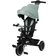 Lionelo Tricycle évolutif bébé 2en1 Berry Siège réversible Roue Libre Vert