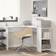 vidaXL 869554 White Skrivbord