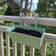 Selections Sage Planter 2-pack