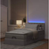 vidaXL 3312447 Rammeseng 90x203cm