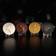 Fanattik Game of Thrones Limited Edition Sigil Medallion Collection Multicolor Dekoration 4stk
