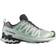 Salomon XA Pro 3D V9 GTX W - Quiet Shade/Lily Pad/Blue Haze