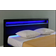 Corium Bett Paris 160x200cm