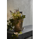 Star Trading Dew Drop Silver String Light 50 Lamps