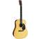 Martin D-28 Gloss