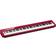 Casio Privia PX-S1100 Red
