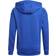adidas Kid's Performance Squadra 21 Hoodie - Royal Blue/White (GP6434)