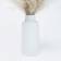 OHS Pampas in Pot Natural Artificial Plant