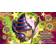 Konami Kuriboh Kollection Card Sleeves for Merchandise Preorder