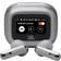 JBL Live Flex 3 Silver