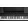 Roland HP704 Charcoal Black
