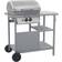 vidaXL 3051184 - Silver