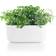 Eva Solo Herb Organiser Flower Box 13x31x13cm
