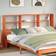 vidaXL 855650 Headboard 206cm