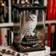 Harry Potter Magical Creatures Hedwig