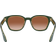 Giorgio Armani AR8207 608613 - Green