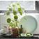 Vitra Green Vassoio da portata 3pcs