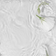 Venture Home Roses White Poster 21x30cm