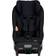 BeSafe Stretch Fresh Black Cab