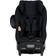 BeSafe Stretch Fresh Black Cab