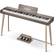 Donner DDP-60 Grey
