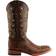 Ferrini Stampede M - Brown