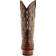 Ferrini Stampede M - Brown