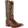 Ferrini Stampede M - Brown