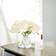 Côte Noire 5 Rosen Duftblume Pink Blush Decorative Item 2pcs