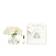 Côte Noire 5 Rosen Duftblume Pink Blush Decorative Item 2pcs