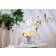 Côte Noire 5 Rosen Duftblume Pink Blush Decorative Item 2pcs
