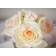 Côte Noire 5 Rosen Duftblume Pink Blush Decorative Item 2pcs